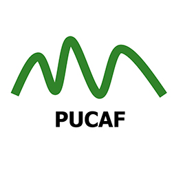 PUCAF - Blog