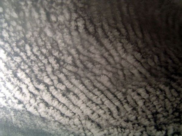 Nubes medias: Altocumulus