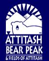 Attitash - Bear Peak