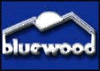 Ski Bluewood
