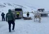 Recuperan dos vacas perdidas en Beret con ayuda de una máquina pisapistas