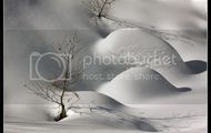 Pasteles de nieve en el Pallars