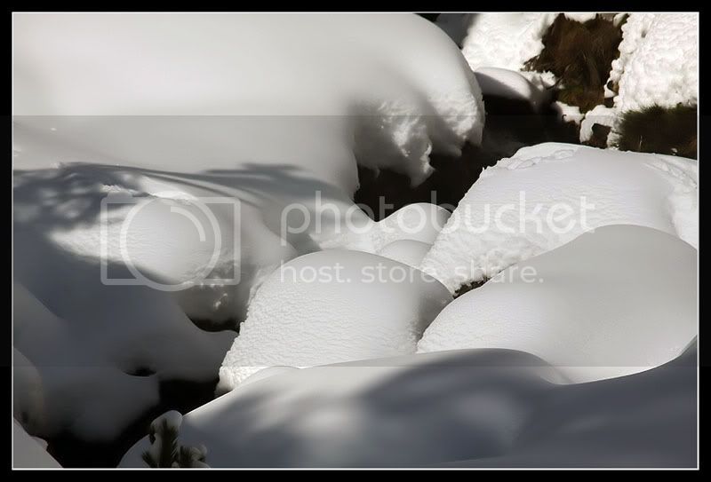 Pasteles de nieve en el Pallars