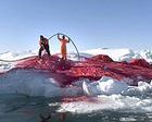  Detienen al 'artista' que pretendía colorear de rosa el Mont-Blanc