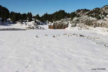 Pisando nieve en el pirineo navarro [5-nov] 