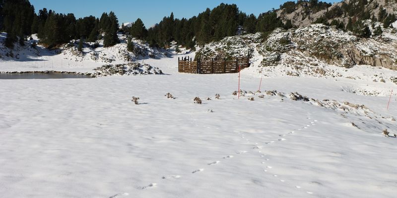 Pisando nieve en el pirineo navarro [5-nov] 