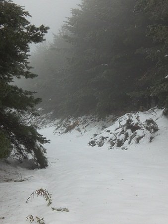 La Pinilla, primeras nevadas 2011