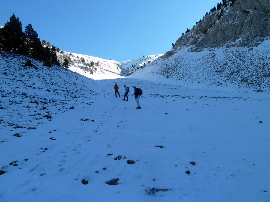 7 Enero en Masella-La Molina (Alp 2500) 