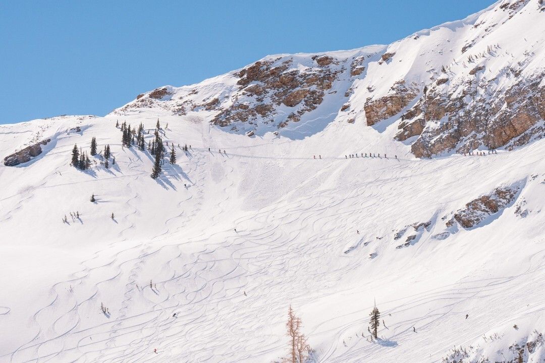 Alta Ski area