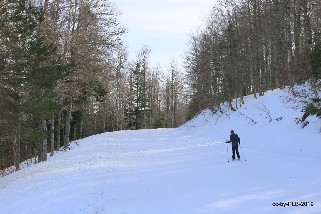 Mi estreno en el esquí nórdico en Abodi