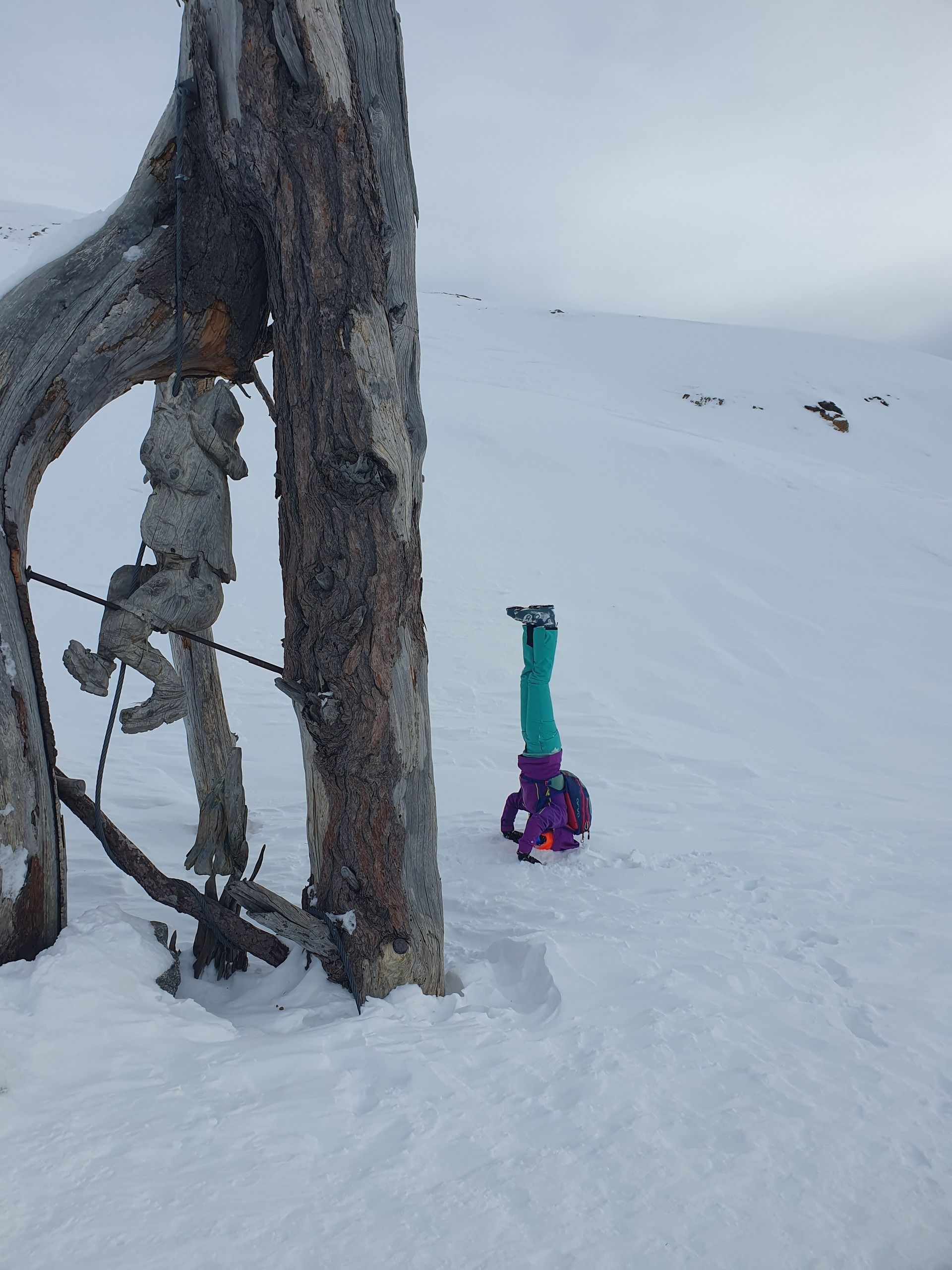 Nos encontramos con esta curiosa escultura de un escalador tallada en un tronco de árbol. A Bea le trae de cabeza