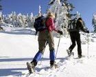 Andorra quiere regular el esquí de montaña ante de fin de temporada