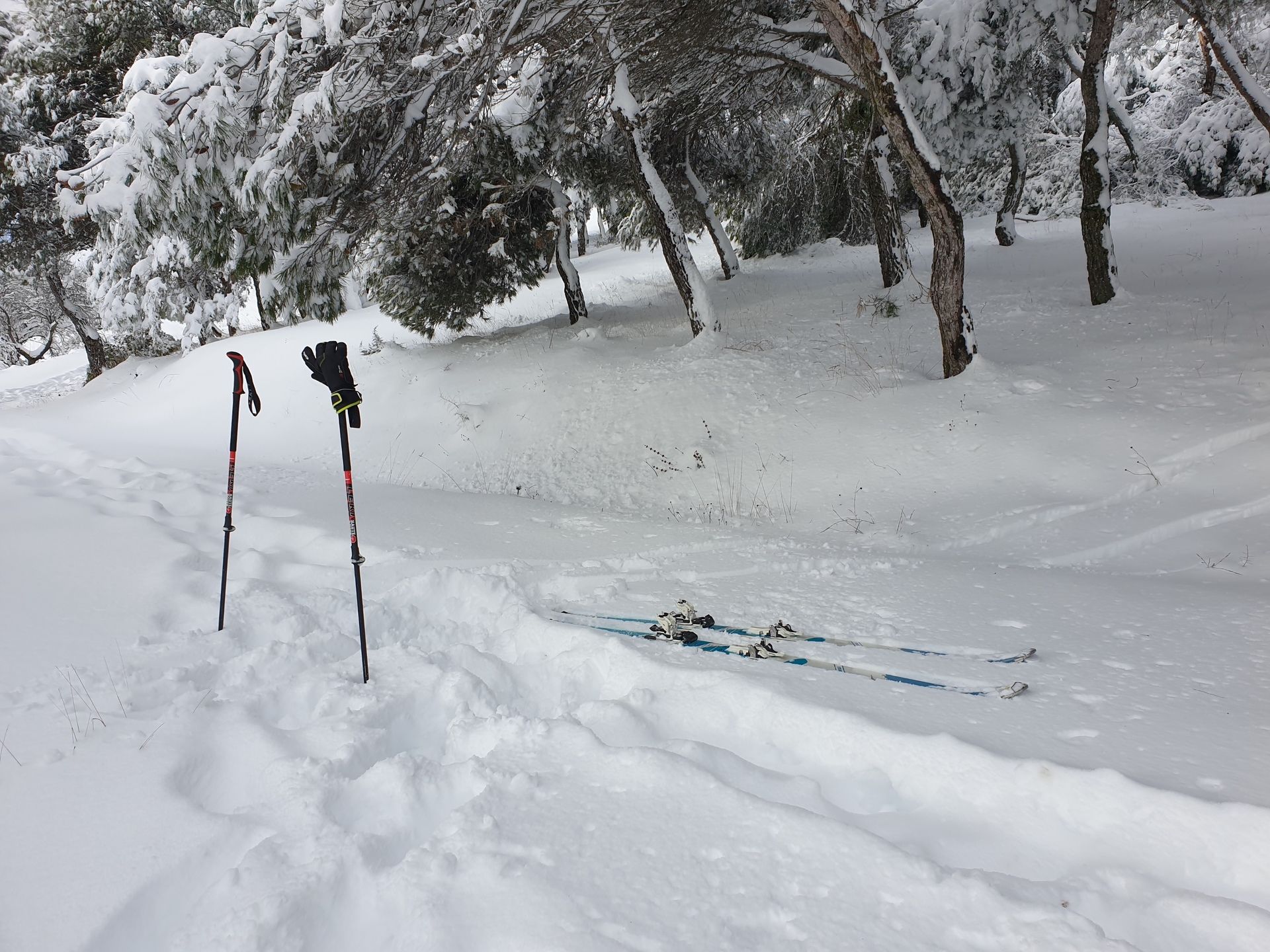 Esquiando desde casa 10 enero 2021