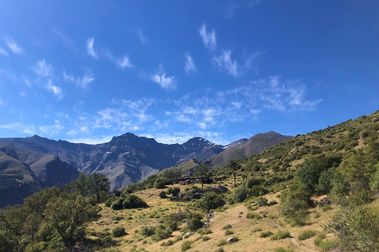 Sierra Nevada y el Parque Natural