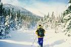 Clases de esquí nórdico para adultos en Madrid