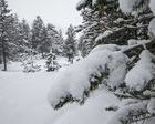 Andorra espera temperaturas de hasta -25ºC
