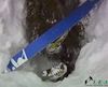 Heli-skier alemán fallece boca abajo en el agujero de un arbol