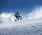 Colección esquís Majesty 2021/2022