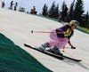 Empresa británica proyecta una pista de esquí en Torremolinos
