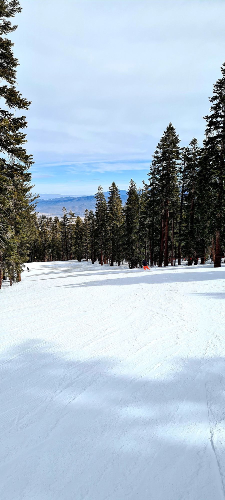 Esquiando en California ❄ Lago Tahoe y San Francisco