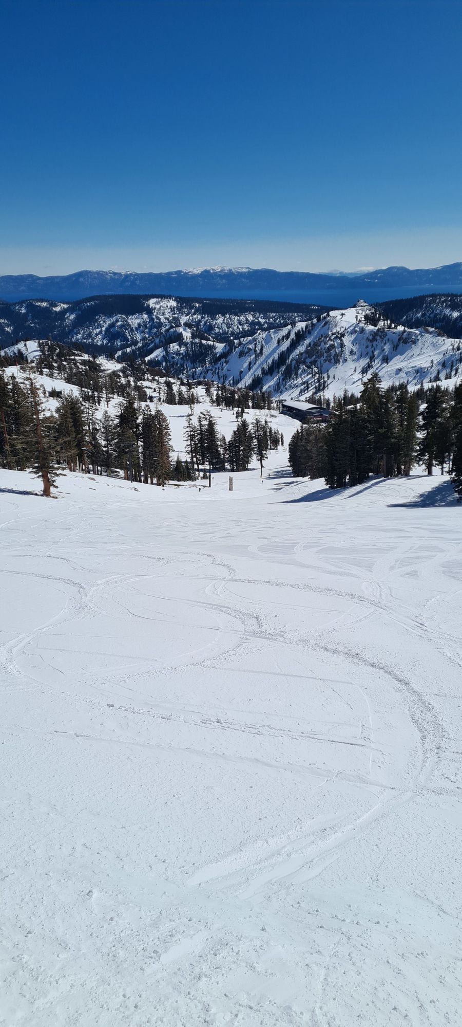 Esquiando en California ❄ Lago Tahoe y San Francisco