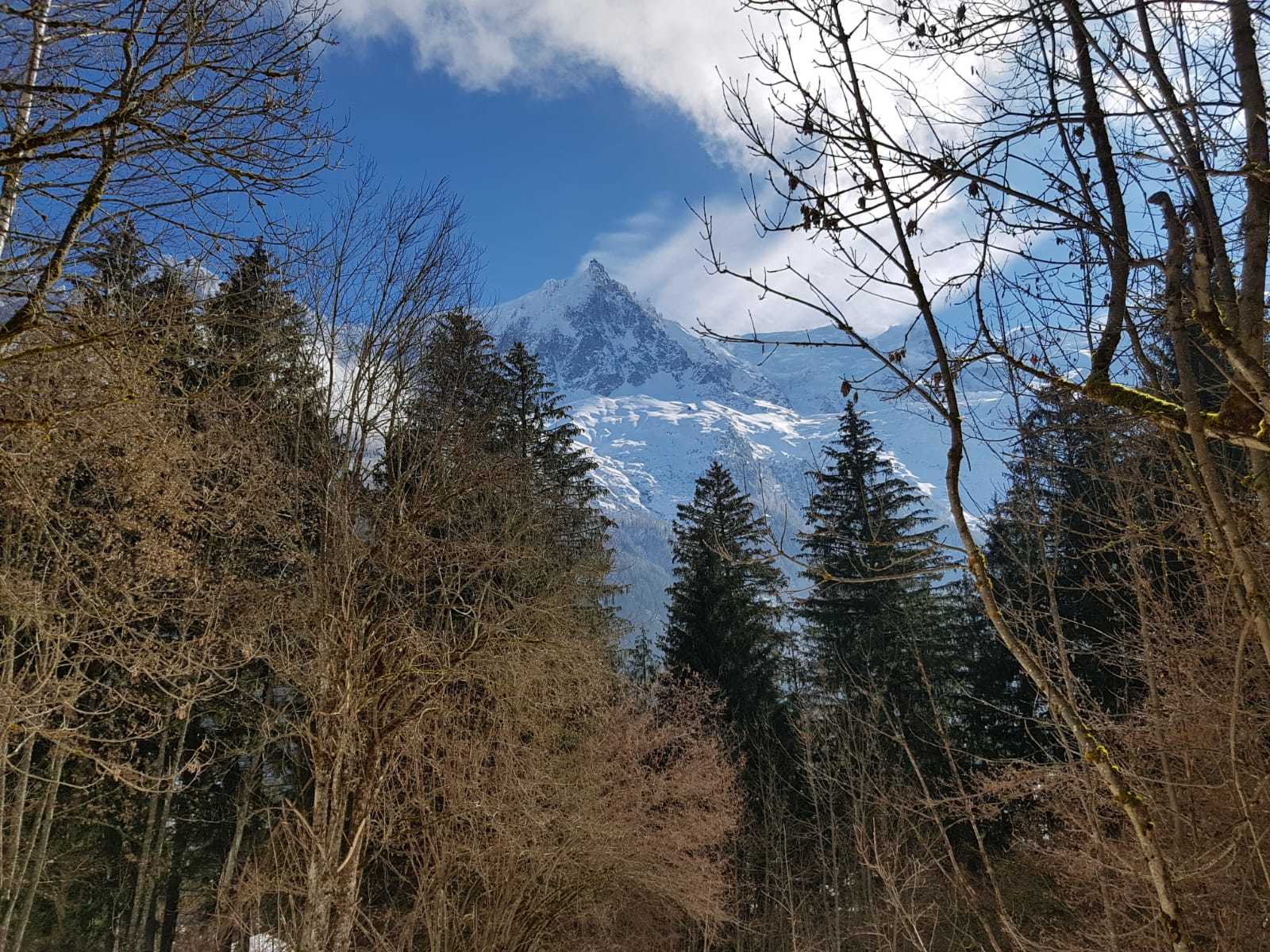 Semana en los Alpes, Febrero 2021 