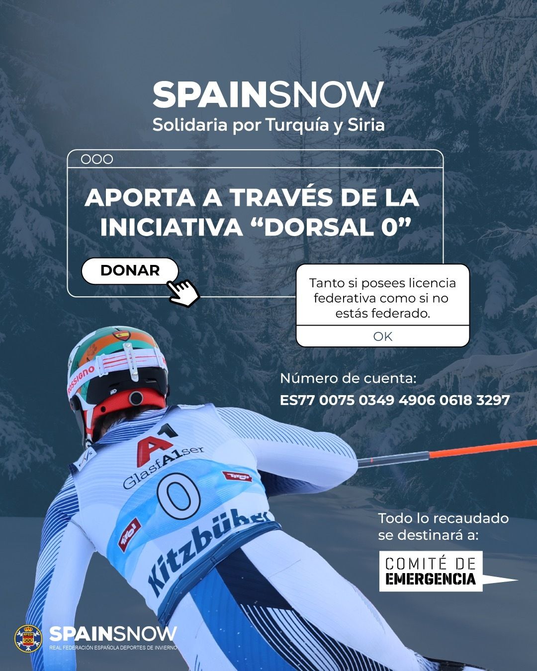 cartel Spain Snow Solidario