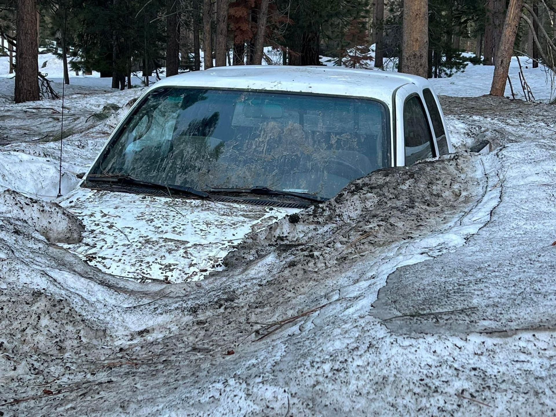 Vehiculos bajo la nieve