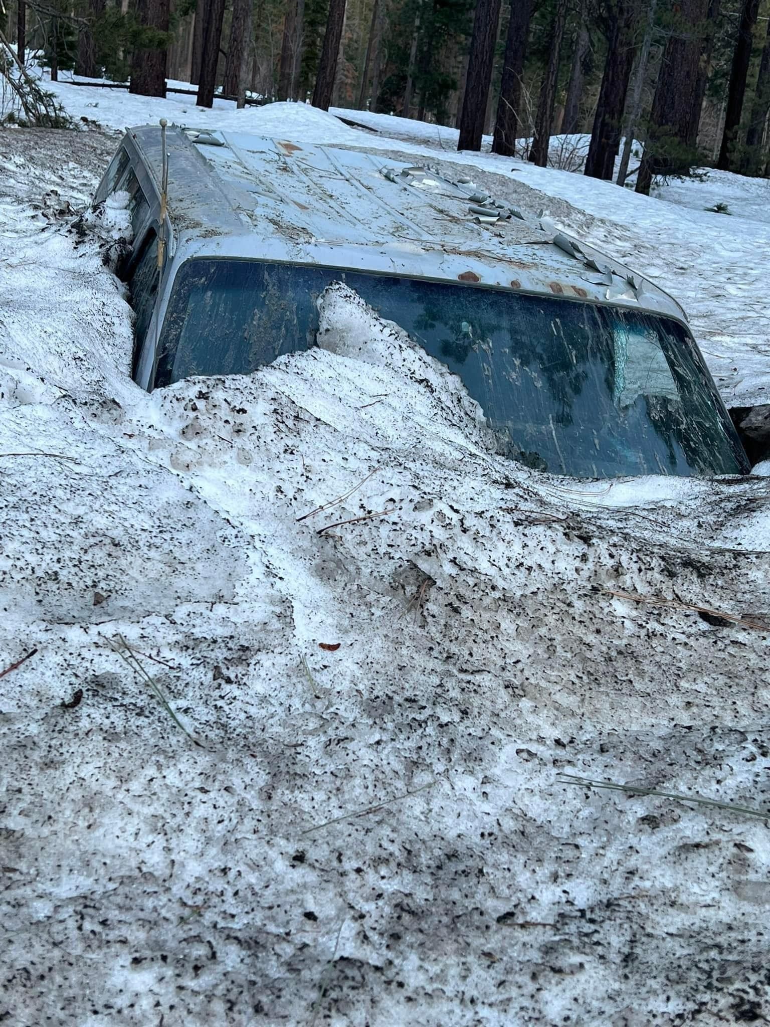 Vehiculos bajo la nieve