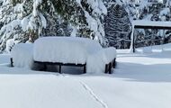 Las intensas nevadas abrirán casi todas las pistas de esquí este fin de semana