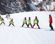 Setmana d'esquí i surf de neu per a col·legis