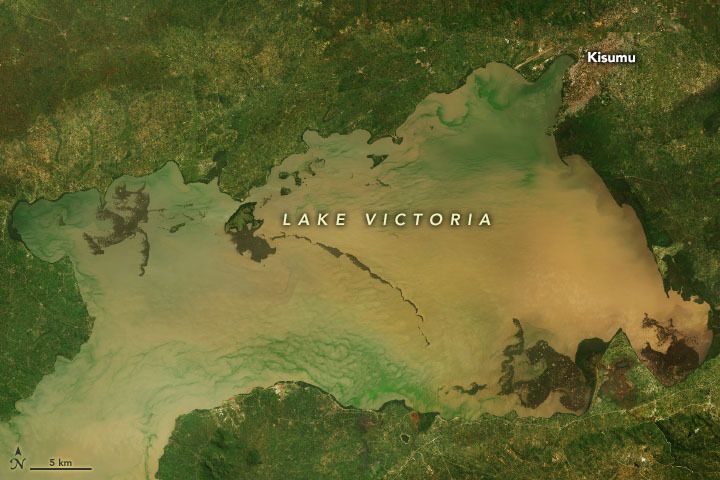 Lago Victoria