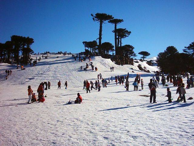 Primeros Pinos Ski