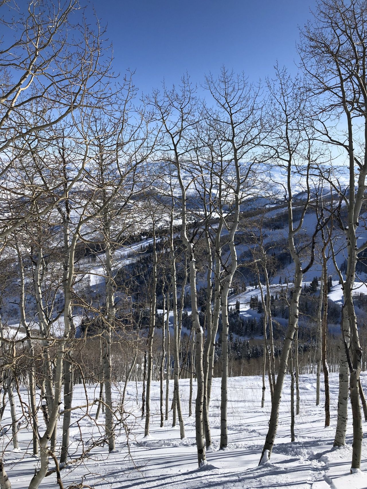 Utah y Colorado: Un Febrero épico