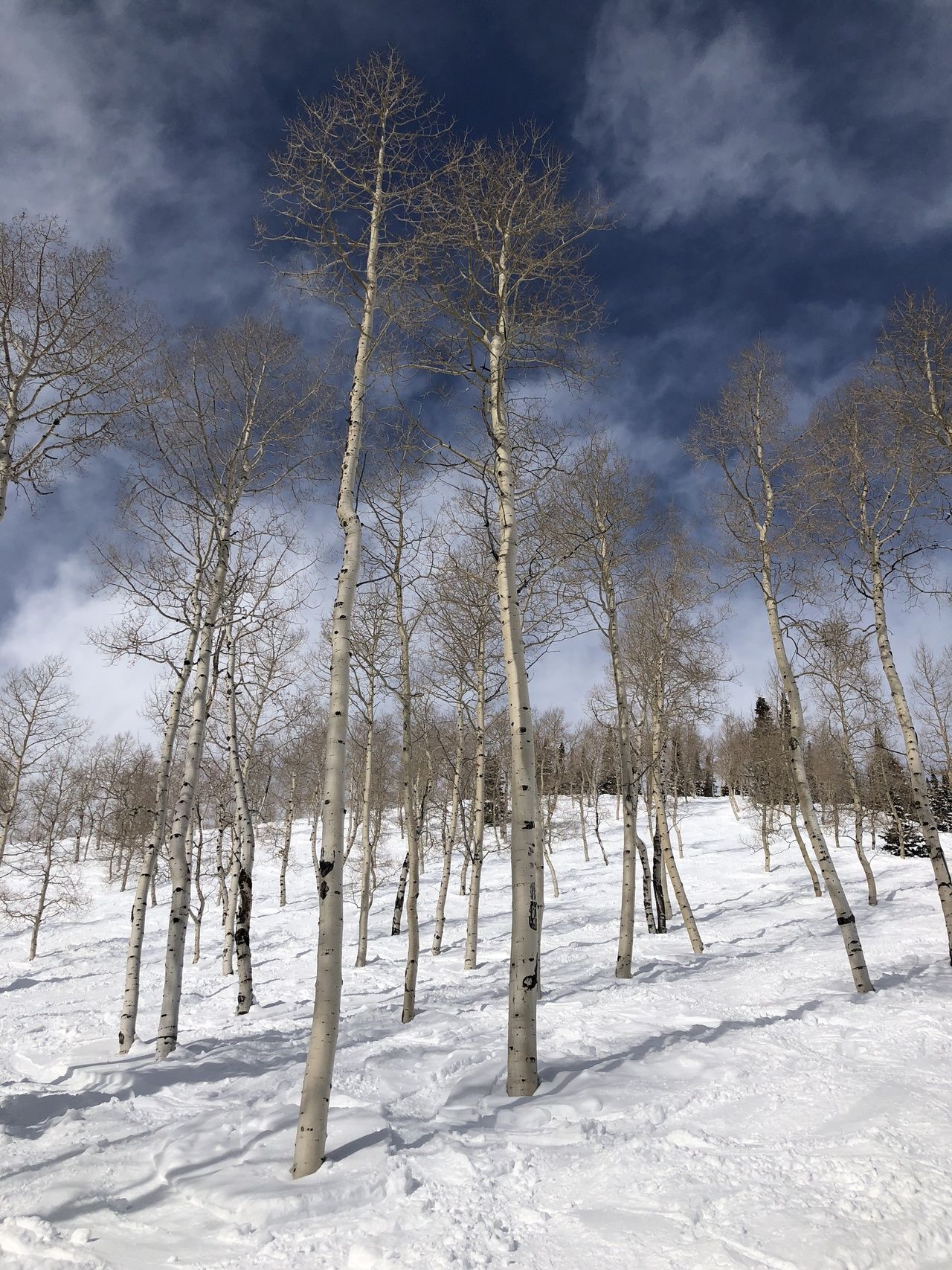 Utah y Colorado: Un Febrero épico