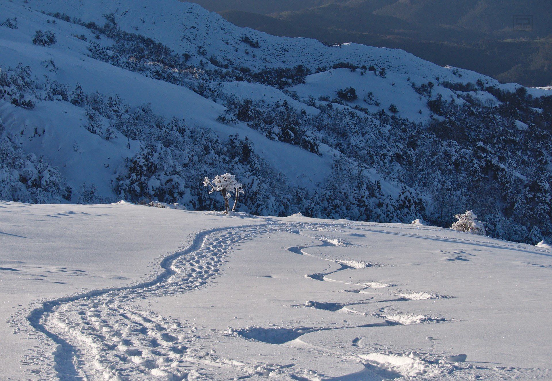 Así se esquí en Asturias
