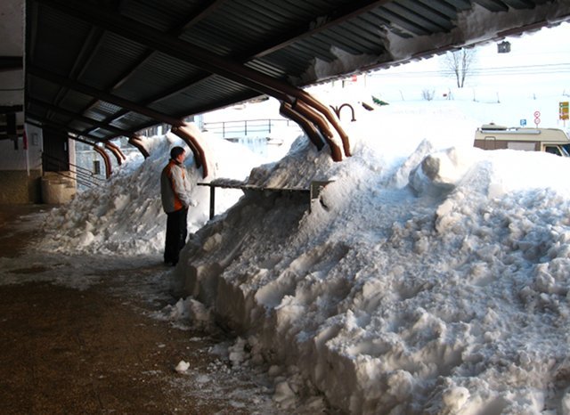 https://www.nevasport.com/fotos/200209/255288-Imagenes-insolitas-de-la-gran-nevada-Sera-esto-el-cambio-climatico.jpg