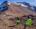 En La Parva se realizó carrera "Altitude Challenge 2015"