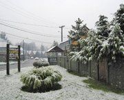 Nieve Llega a Pucón