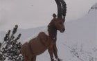 Esquiando en el Tirol en Diciembre - Report 
