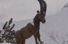Esquiando en el Tirol en Diciembre - Report 