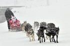 Previsiones de Baqueira , Masella y Ski Pallars para estas navidades