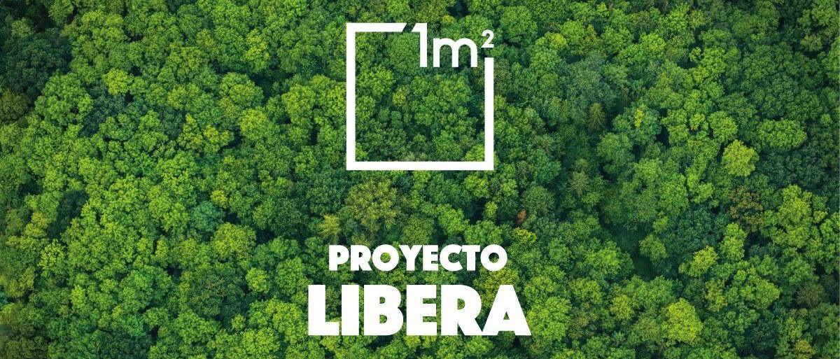 La RFEDI se une a los proyectos Green Sport Flag y Libera