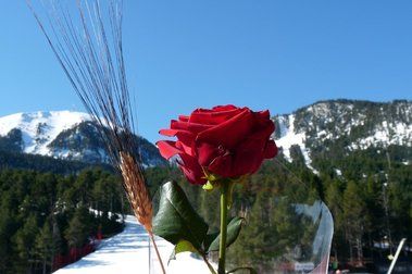 Per Sant Jordi esquia a Masella