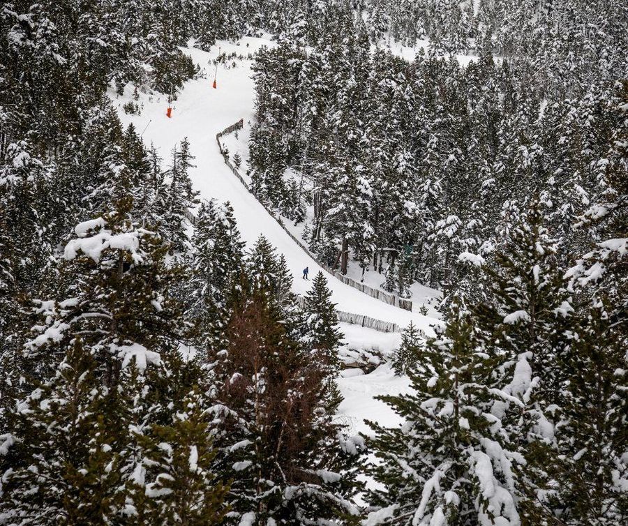 Pista entre bosques en Espot esquí