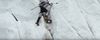 La película de la primera persona que se bajó el K2 con esquís