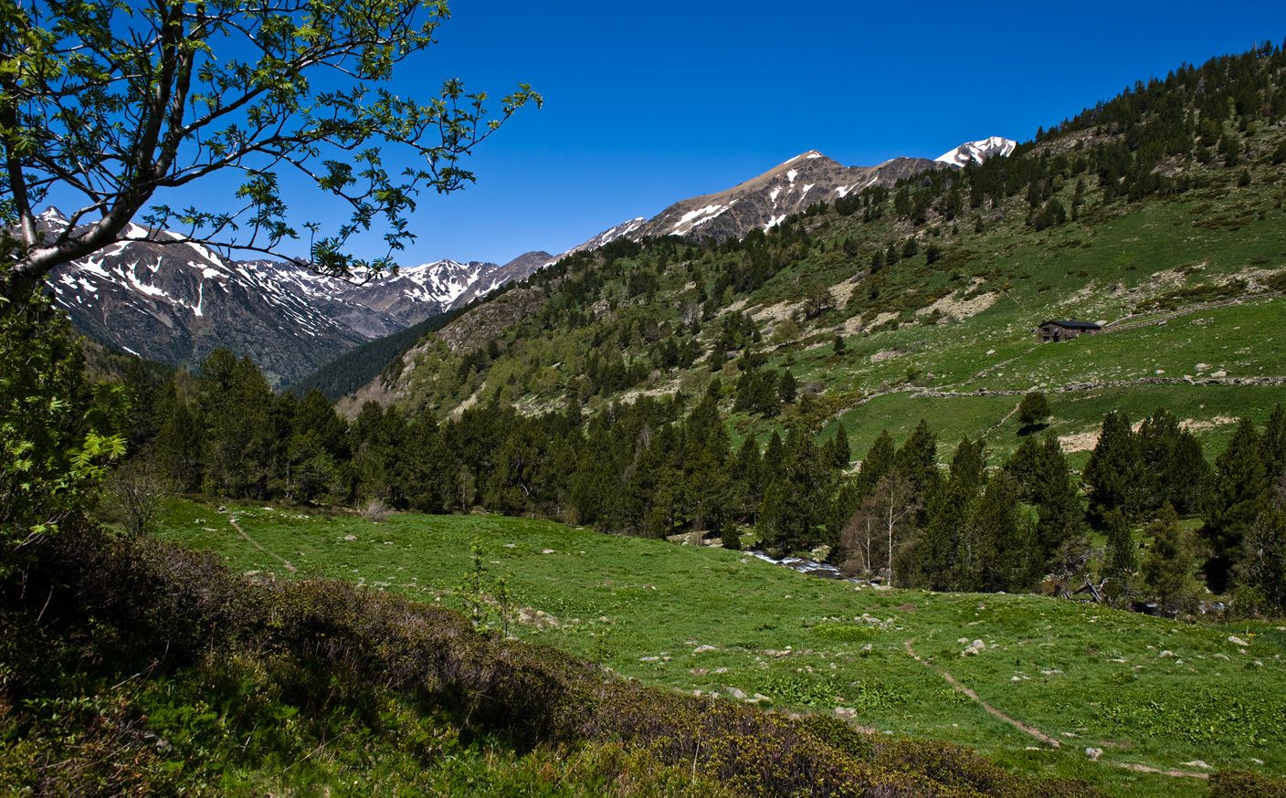 Parc Natural del Sorteny (Andorra)