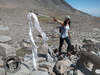 Sierra Nevada Limpia retira 400 kilos de basura en pleno Parque Nacional