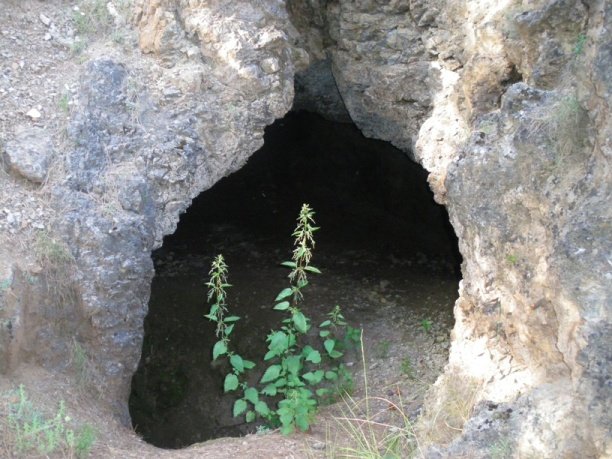 Cueva en el Cerro del Chaparral.