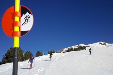 ¿Esquí de Montaña? o ¿Esquí de Pistas?